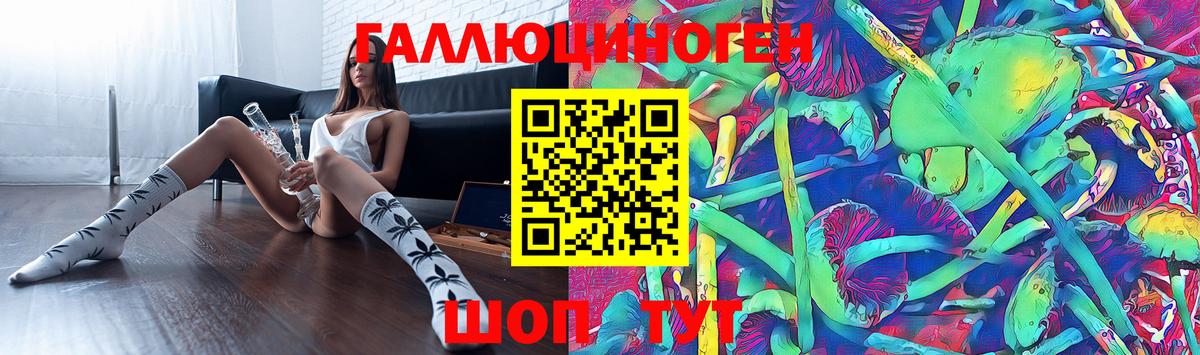 Галлюциногенные грибы прущие грибы Печора